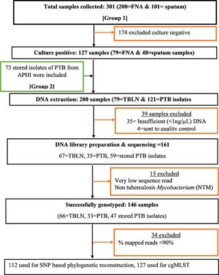 Comparative whole-genome sequence analysis of Mycobacterium tuberculosis isolated from pulmonary tuberculosis and tuberculous lymphadenitis patients in Northwest Ethiopia